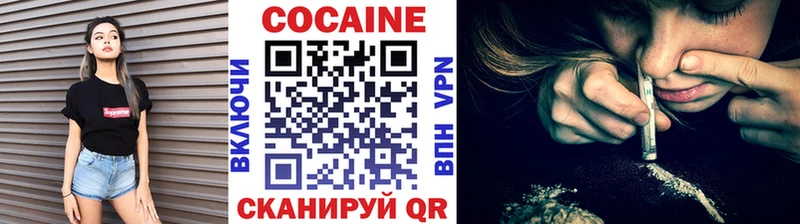 hydra как войти  продажа наркотиков  Тюкалинск  Cocaine Fish Scale 