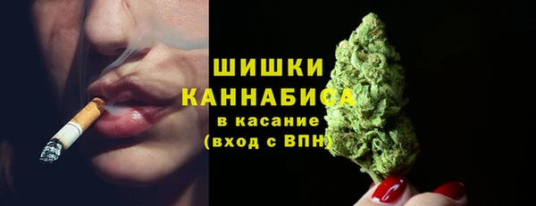 амф Няндома