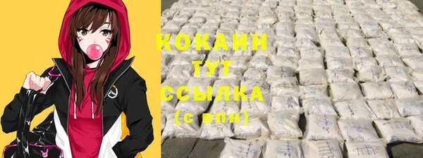 амф Няндома
