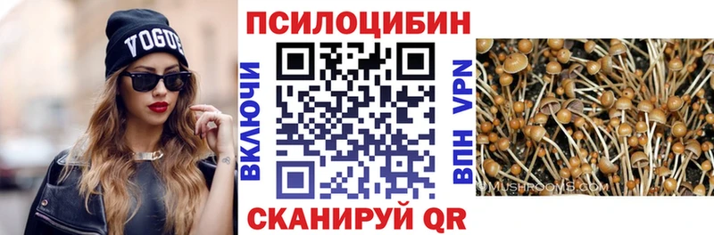 Псилоцибиновые грибы Psilocybe  Тюкалинск 
